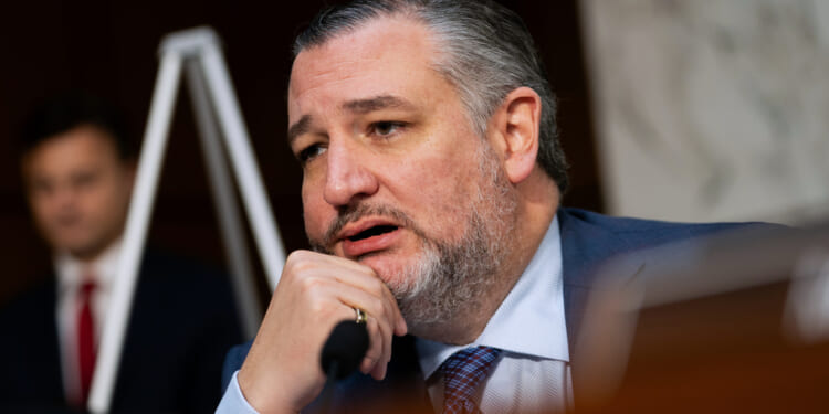 Cruz to introduce bill protecting citizens from government censorship