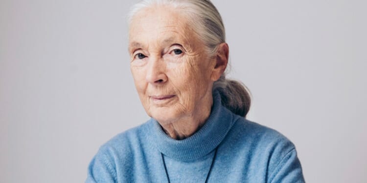 Jane Goodall, 1934-2025