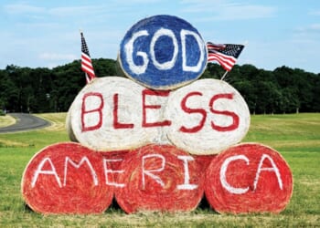 The beginnings of renewal