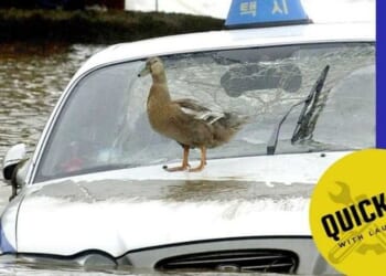 Quick Fix: Is a flood-damaged car worth the savings?