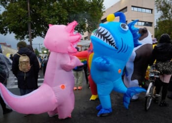 Republicans see left-wing protests at ICE facilities as way to appeal to voters