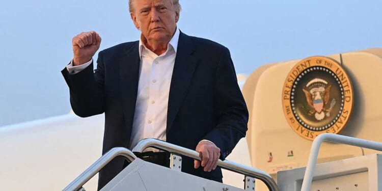 Secret Service finds suspicious hunting stand with line of sight to Trump’s Air Force One