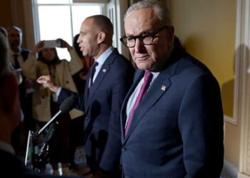 'Cracks in the Schumer armor': White House adviser says government shutdown may be ending soon