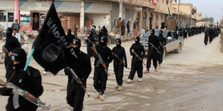 For the Left and Islam, Terror Is Not a Bug, It’s a Feature