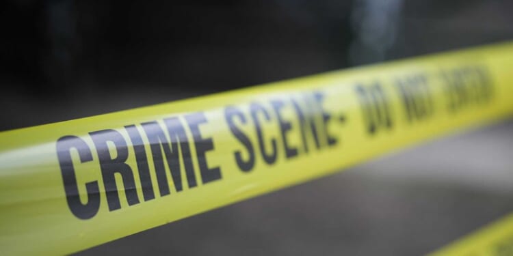 4 dogs maul woman to death after she suffers medical episode, police say