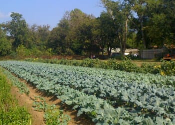 Leftists Threaten Small Farm For Hosting Conservative Think Tank