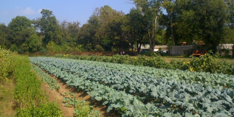 Leftists Threaten Small Farm For Hosting Conservative Think Tank