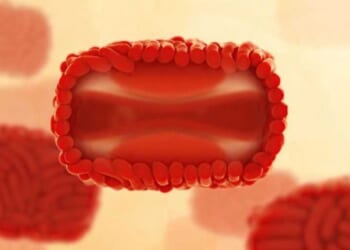 Gay-spread monkeypox is back. Watchdog asks policymakers to drop the political correctness.