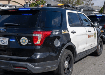 Gun-wielding thug demands Rolex from man. But victim allegedly is a retired wrestler — and the tables are about to turn.