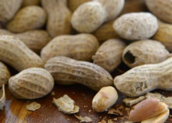 Study shows massive decline in peanut allergies after previous experts proven wrong