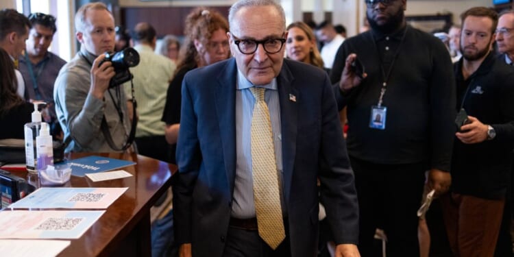 Progressives create midterm issues for Schumer’s establishment recruits