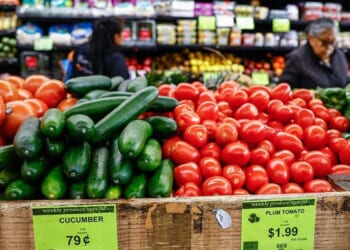 Trump admin blames Senate Democrats for SNAP debacle: 'The well has run dry'