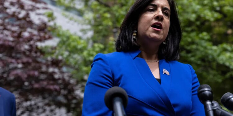 New York Democrats target GOP House seat in redistricting lawsuit