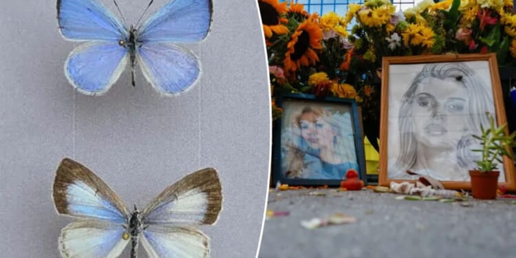 Butterfly species named after North Carolina stabbing victim Iryna Zarutska