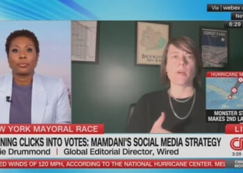 Why Did Kamala Media Strategy Fail Despite 'Wave of Intense Support?''