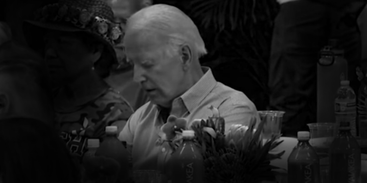 Whose 'Spokesman' Was a Biden Spokesman Who Only Met Him Four Times?