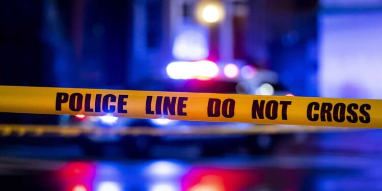 3 people allegedly paid hit man to shoot and kill witness in child sex assault case, then killed the hit man