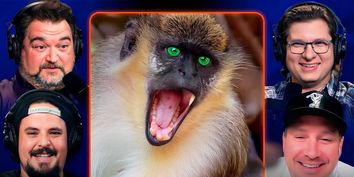 Mississippi marked safe from disease-ridden monkey escapees