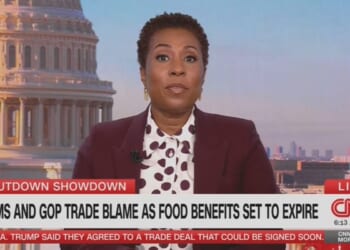 CNN's Audie Cornish Pushes Republicans To Cave To Democrat Demands