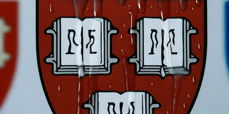 Harvard Students Cry That Asking Them to Work Hard is Bad For Their "Mental Health"