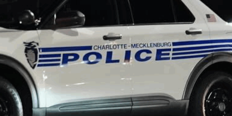 Alleged shoplifter caught on video brutally beating 18-year-old supermarket employee who confronted him: 'Senseless'