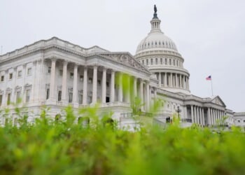 Congress must take the REINS