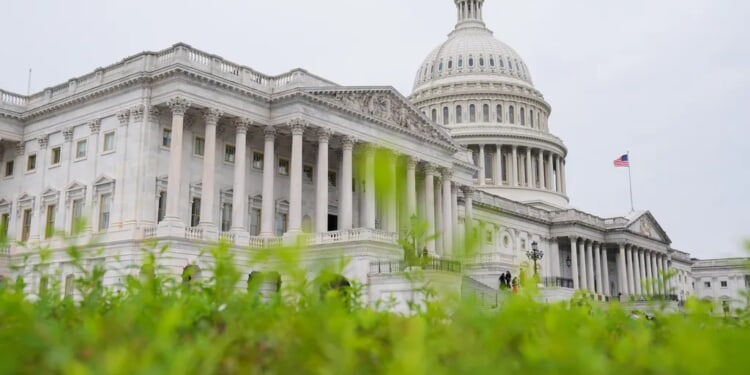 Congress must take the REINS