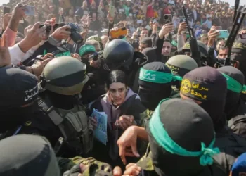 Cotton urges White House to investigate Palestinian Youth Movement