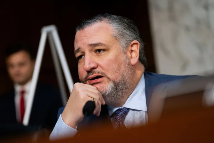 Ted Cruz speaks at an Oversight hearing.