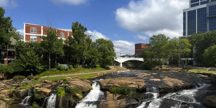 DEI woven into plans for major South Carolina cities draws scrutiny