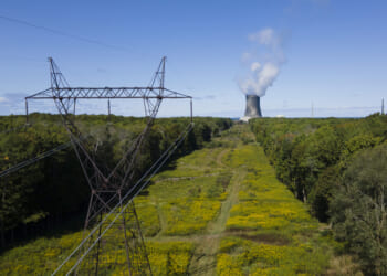 Energy abundance, not net zero, will lower electricity prices