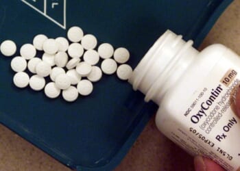 Florida opioid deaths decreasing, and more recommendations to help offered