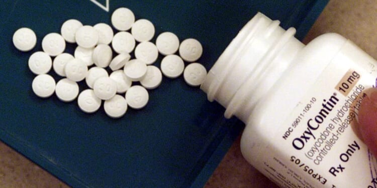 Florida opioid deaths decreasing, and more recommendations to help offered