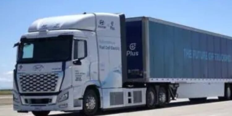 Florida sues California, Washington for licensing illegal immigrants