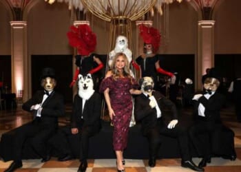 'Gimme' shelter: ASPCA, Humane Society live large on your donations, warns watchdog