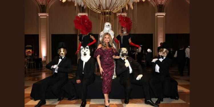 'Gimme' shelter: ASPCA, Humane Society live large on your donations, warns watchdog