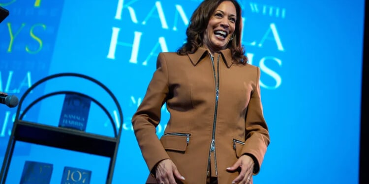 Harris floats 2028 White House run: 'I am not done'