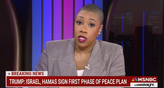 MSNBC's Sanders Credits France and Britain For Gaza Deal