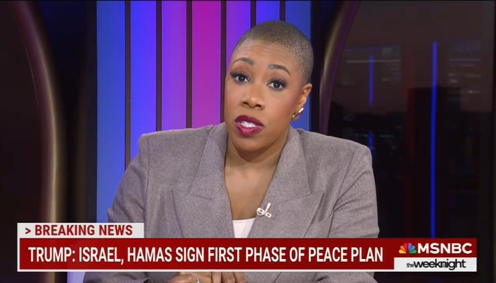 MSNBC's Sanders Credits France and Britain For Gaza Deal