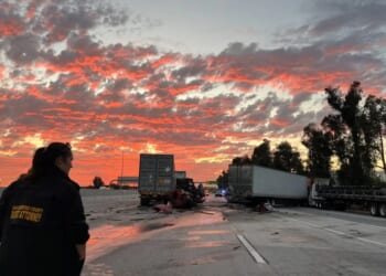 Newsom’s illegal immigrant driver's licenses are getting people killed