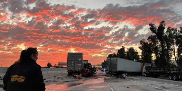Newsom’s illegal immigrant driver's licenses are getting people killed