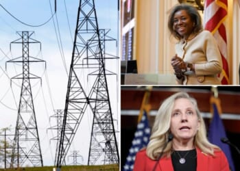 Rising electricity costs spark voter attention in Virginia elections
