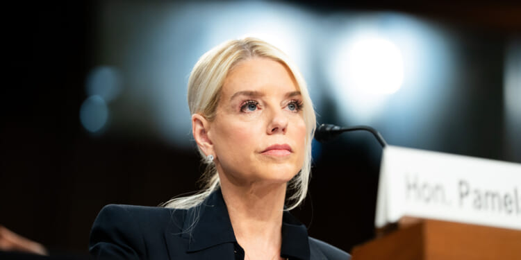 SNL parodies Bondi hearing with 'roast-style burns' from Amy Poehler