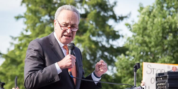 chuck schumer talks to crowd