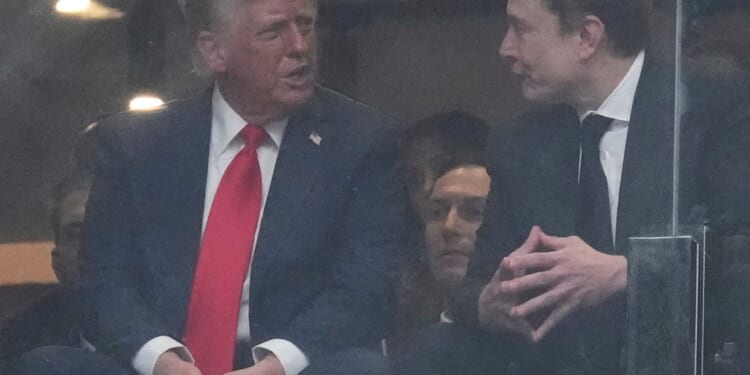 Trump says feud with Musk was 'stupid moment' in tech mogul's life