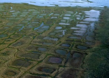 Trump takes steps to open northern Alaska to oil and gas drilling