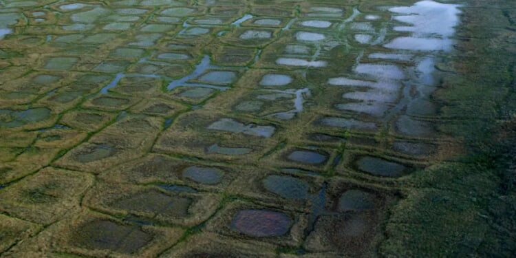 Trump takes steps to open northern Alaska to oil and gas drilling