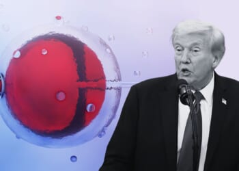 President Donald Trump and IVF