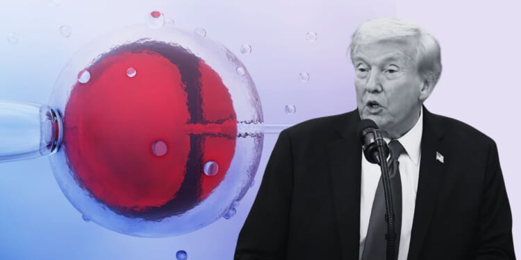 President Donald Trump and IVF
