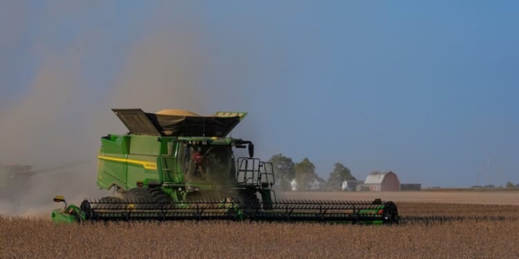 US-China soybean deal could be bit of good news for farmers